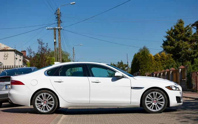 Jaguar XF cena 94000 przebieg: 56000, rok produkcji 2019 z Witkowo małe 326